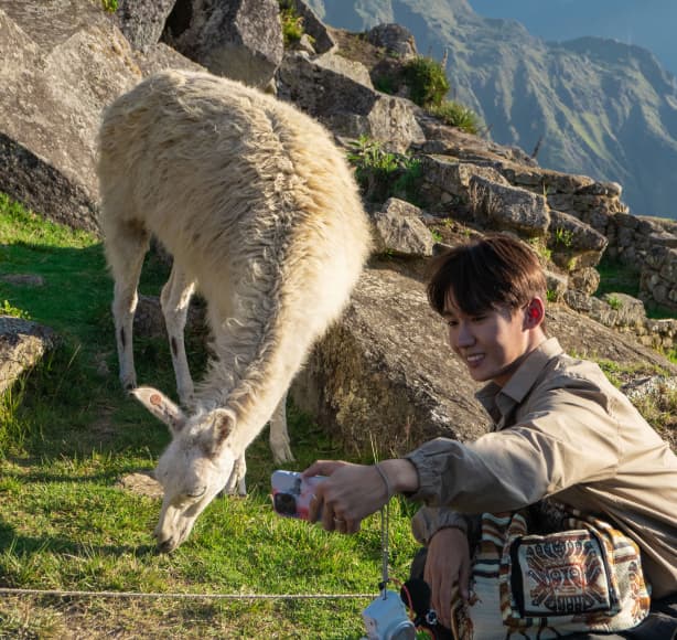 라마 실물 영접